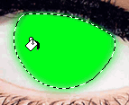 fill the new layer selection with green